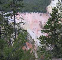 Pinks and Corals crop 208x201.jpg