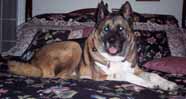Baxter crop 186x99.jpg